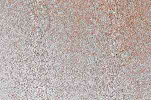 Ковровая плитка Interface Radial 4272004 Signal фото  | FLOORDEALER